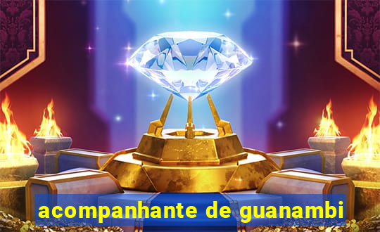 acompanhante de guanambi
